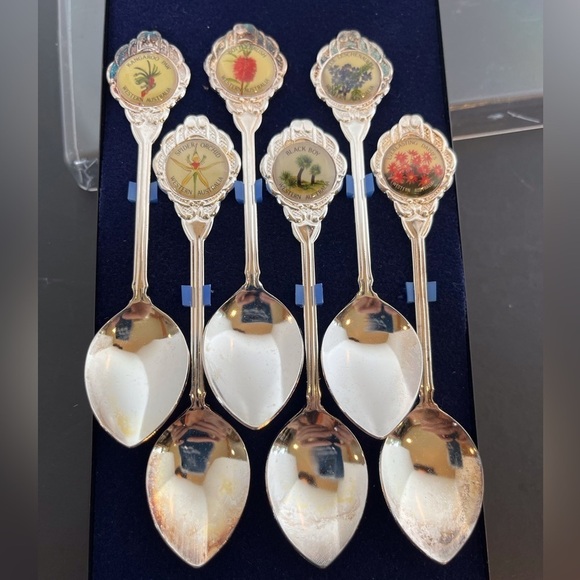 Boxed Set Six Australian Tea Spoons depicting the Flowers of Western Australia - Picture 2 of 13